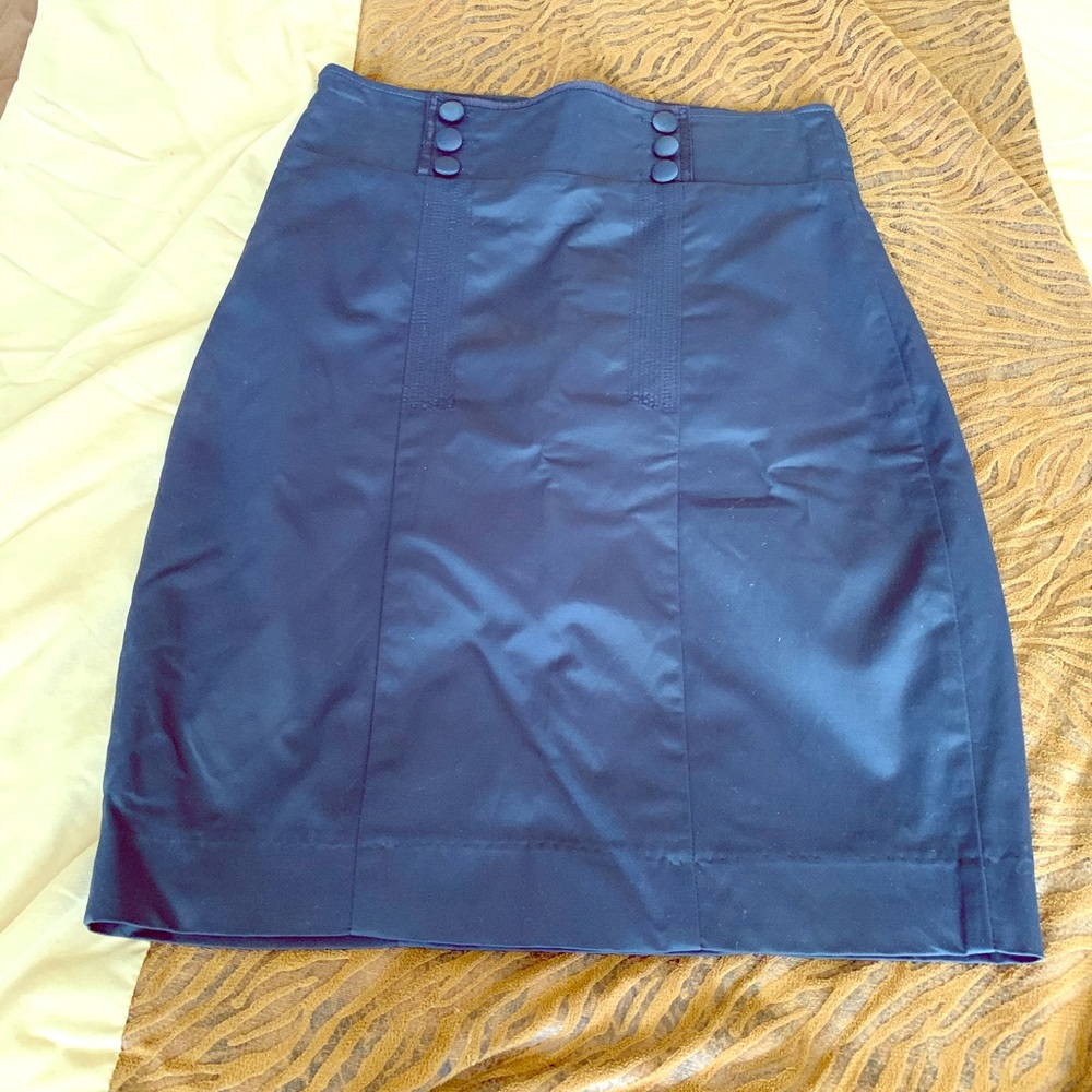 Navy Skirt